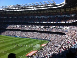 Pelouse du santiago bernabeu