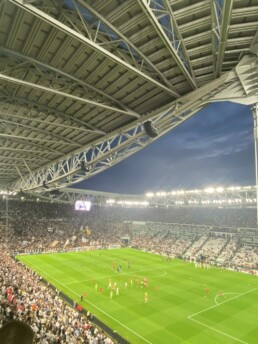 Pelouse Allianz Stadium