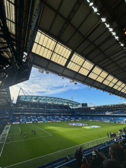 Pelouse stamford Bridge